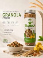 گرانولا فیتنس وجیتو | 380 گرم
