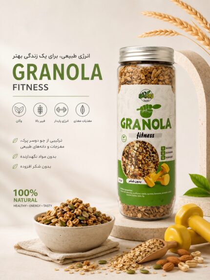 گرانولا فیتنس وجیتو | 380 گرم