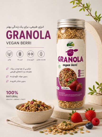 گرانولا وگن بری وجیتو | 380 گرم
